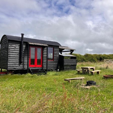 Shepherds Hut In A Private Meadow With Sea Views 하틀랜드 외부 사진