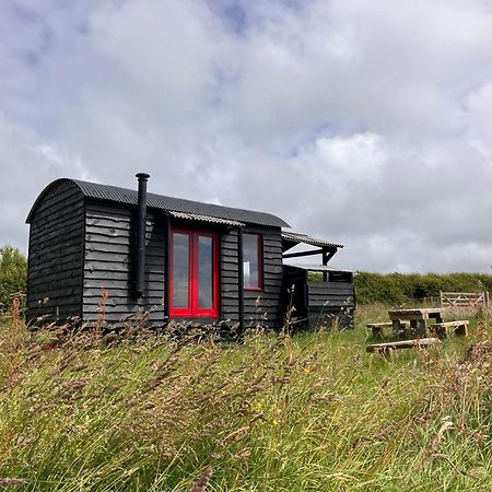 Shepherds Hut In A Private Meadow With Sea Views 하틀랜드 외부 사진
