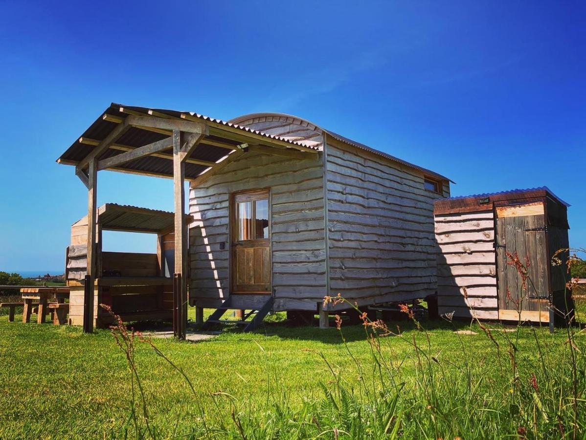 Shepherds Hut In A Private Meadow With Sea Views 하틀랜드 외부 사진