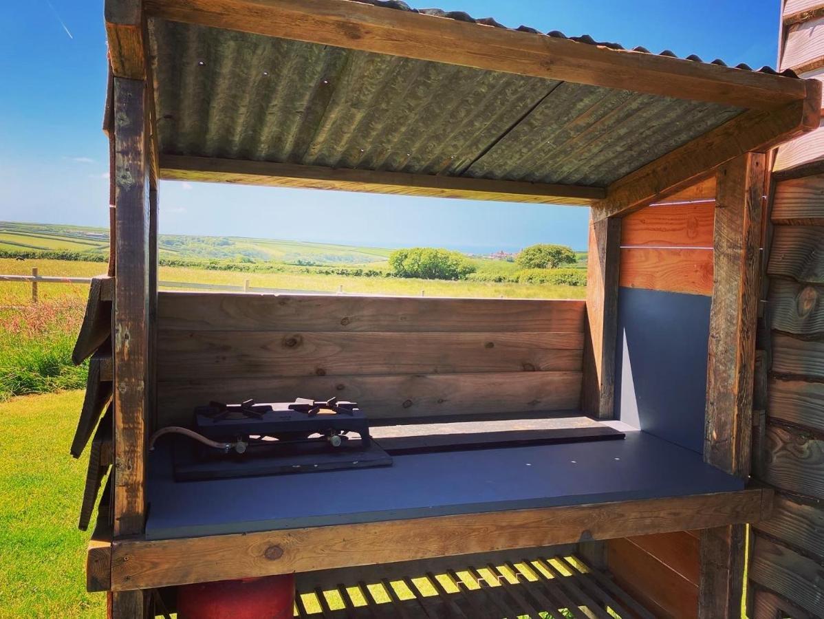 Shepherds Hut In A Private Meadow With Sea Views 하틀랜드 외부 사진