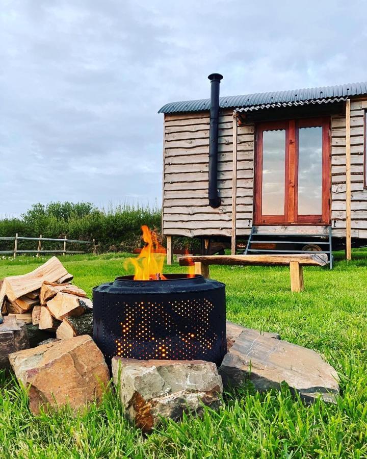 Shepherds Hut In A Private Meadow With Sea Views 하틀랜드 외부 사진