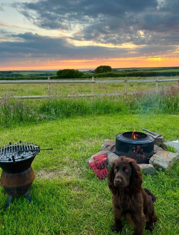 Shepherds Hut In A Private Meadow With Sea Views 하틀랜드 외부 사진