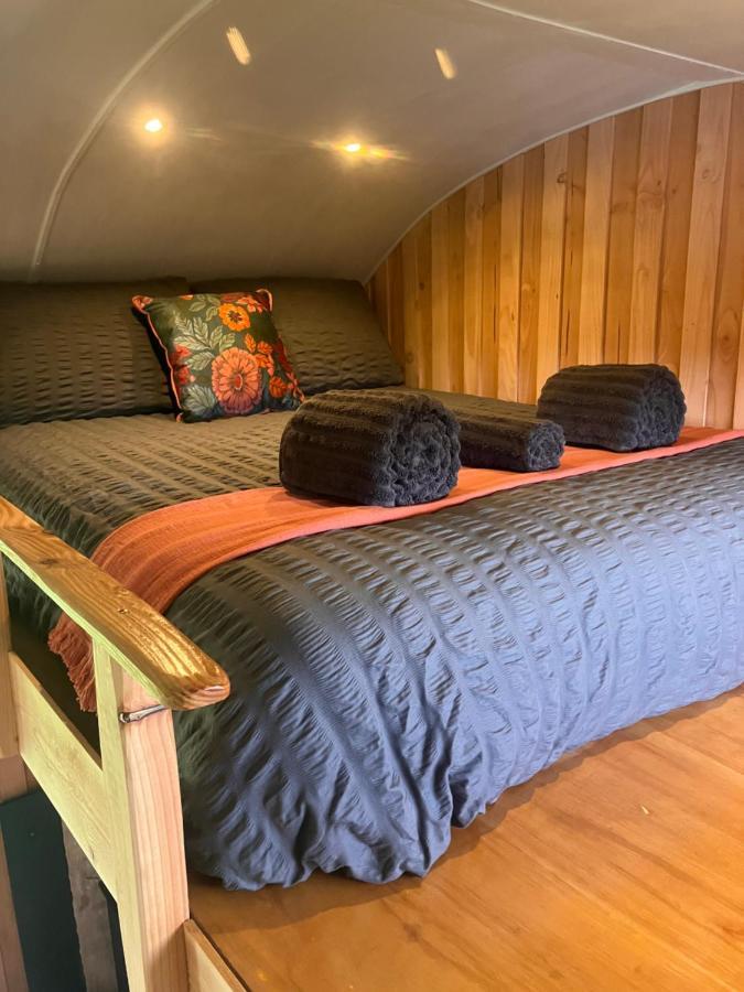 Shepherds Hut In A Private Meadow With Sea Views 하틀랜드 외부 사진