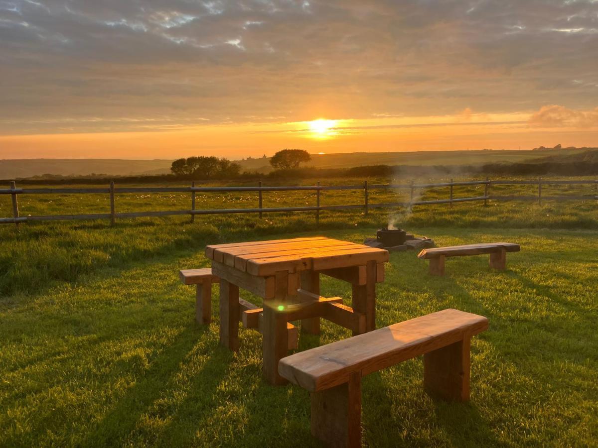 Shepherds Hut In A Private Meadow With Sea Views 하틀랜드 외부 사진